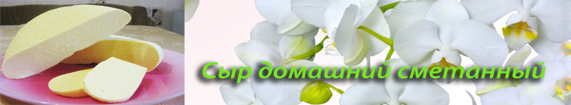 Рецепт домашнего сыра сметанного